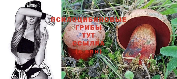 ешки Алексин