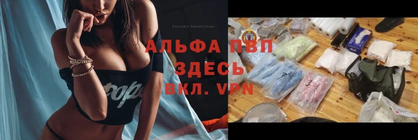 ешки Алексин